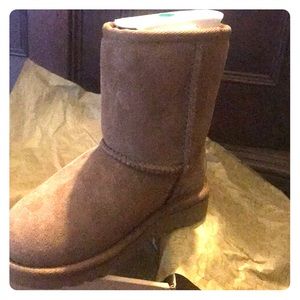 Ugg T Classic